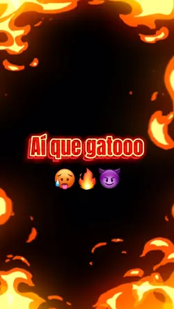 Aiii que Gatooooo