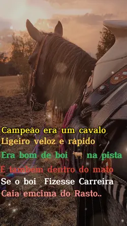 Cavalos 🐴