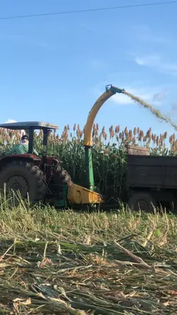 Ao som do eletrofunk