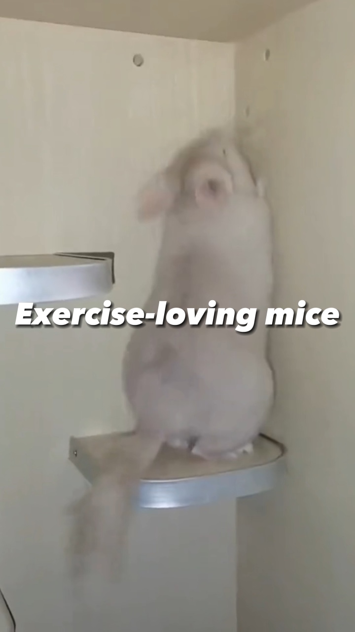 Challenge movement