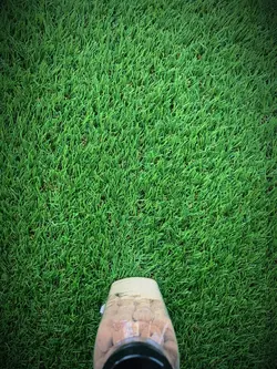 Stop Motion 151 foto