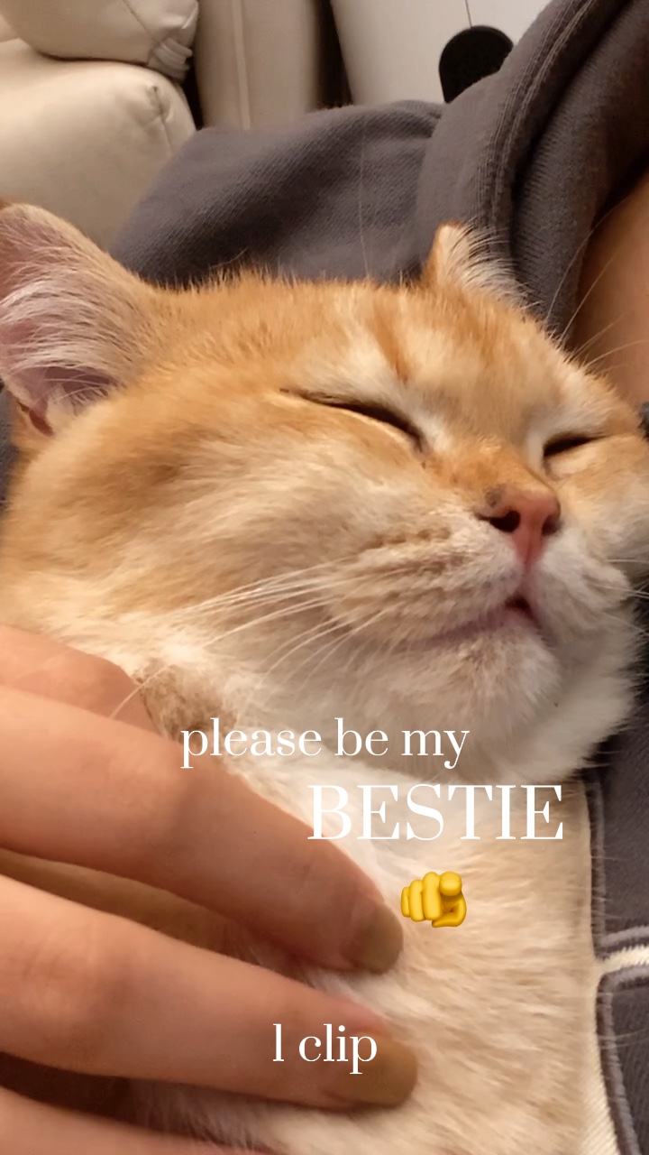 Be my bestie 