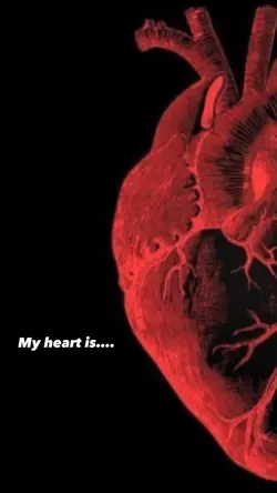 My heart is ✨