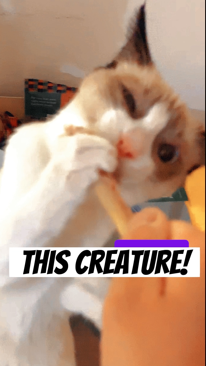 Cette créature
