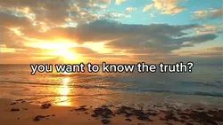 You are all