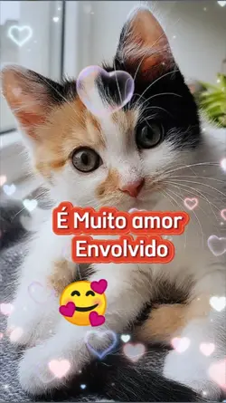 Seu filho Pet