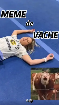 MEME DE VACHE