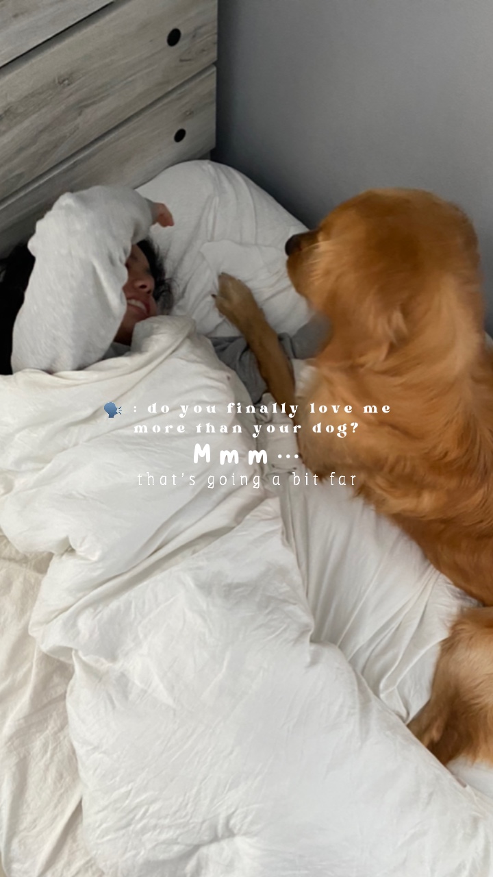 Amantes de los perros 🤍