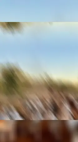 chama na batida 