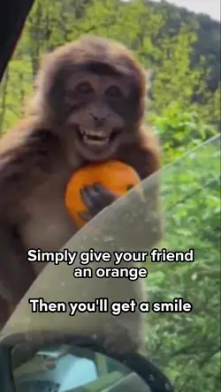 Orange prank