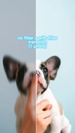 transition w/filter