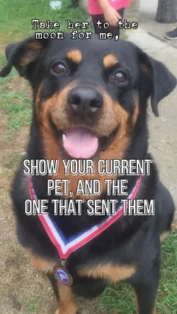 Take her to the Moon