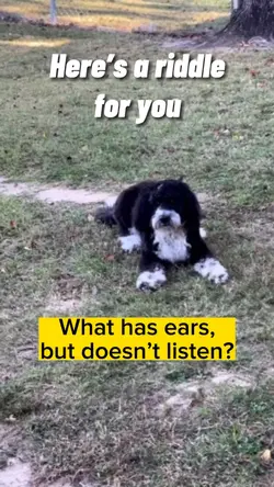 Riddle For You