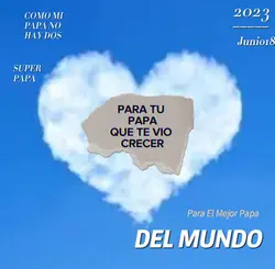 FELIZ DIA DEL PADRE💙