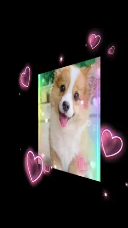 Cachorrinhos Fofos