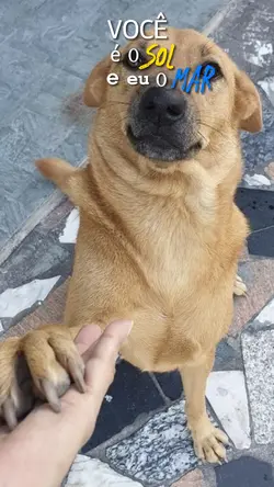 Você é o sol ☀️ 