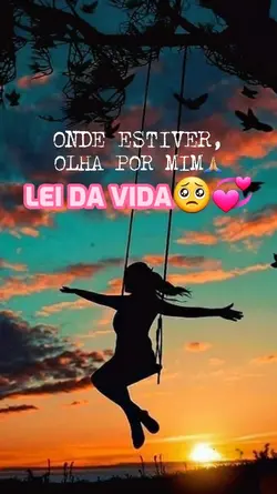 Lei da Vida