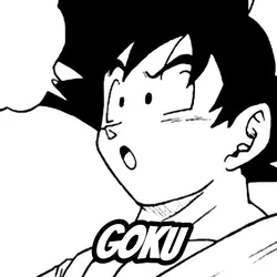 goku vs kakarot