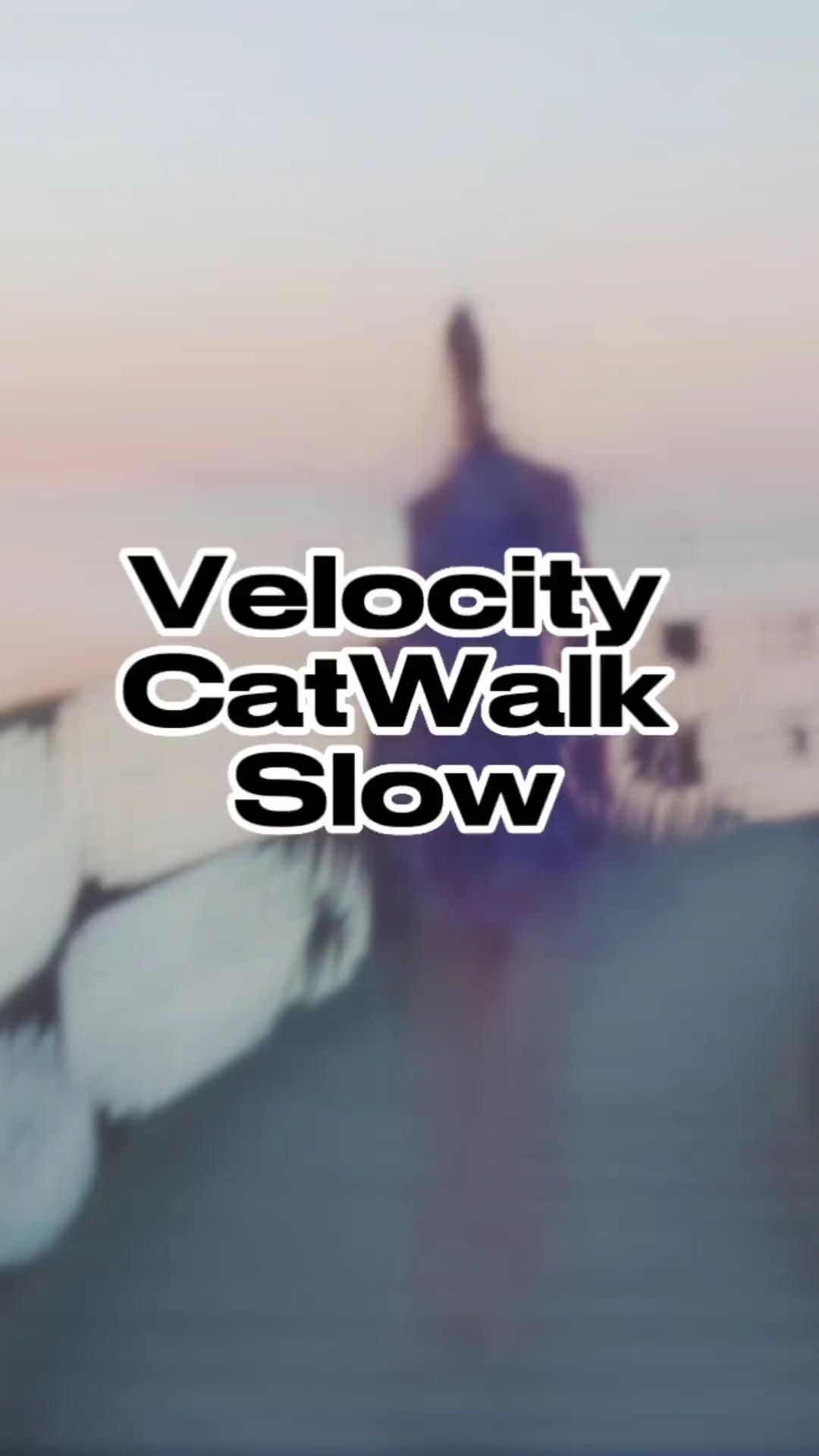 Velocity Laufsteg 