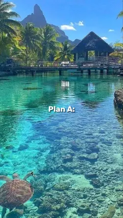 Plan A🌴