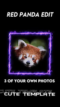 Red Panda Edit ☺️