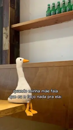 Meme/ pets 