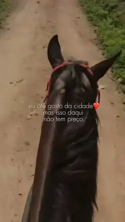 eu até gosto da