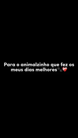 Animal❤️‍🩹