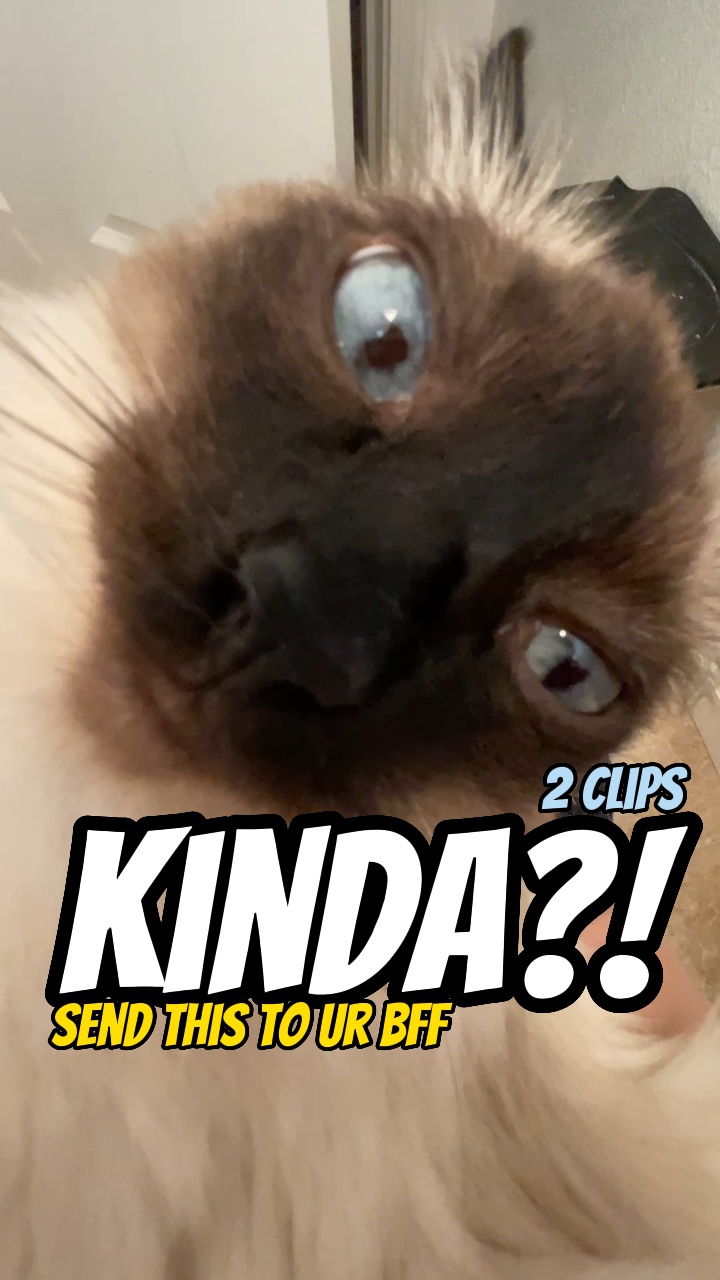 Tür?!