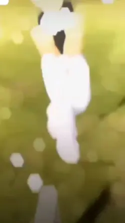 Golf Beat ⛳️