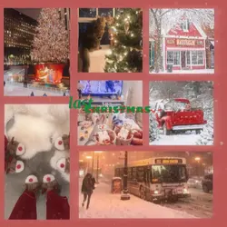 Christmas Spirit!