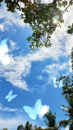 Saudade