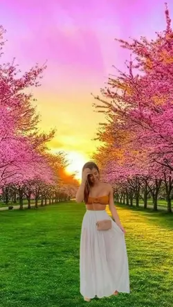 Montagem 