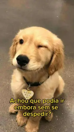 Eramos irmãos
