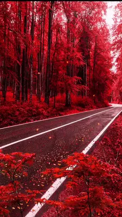 Plano de fundo