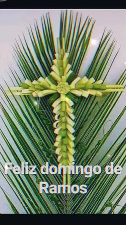Domingo de Ramos