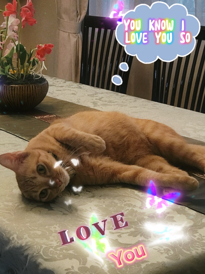 Love 