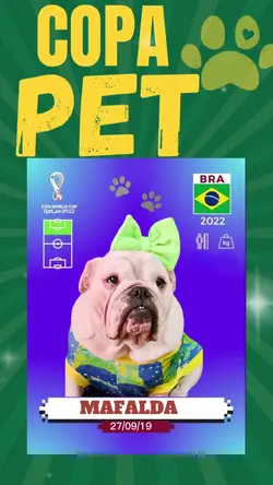 Copa Pet