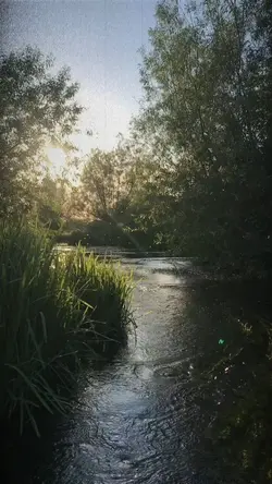 Natureza vídeo 