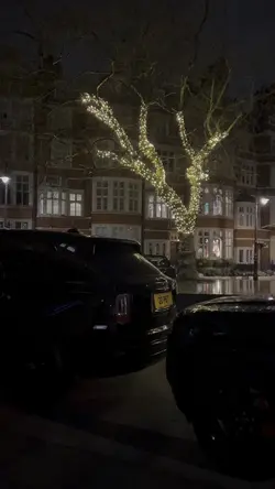 Aesthetic Nightluxe
