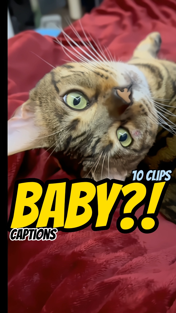 Du nennst mich Baby?!