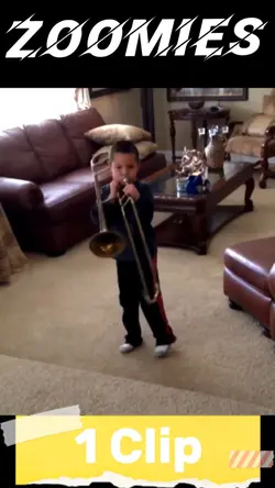 Zoomies 