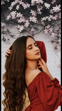 plano de fundo
