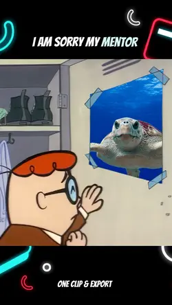 I am sorry my mentor