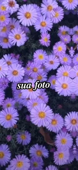 batida sincronizada
