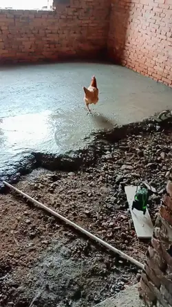 hora sufrida