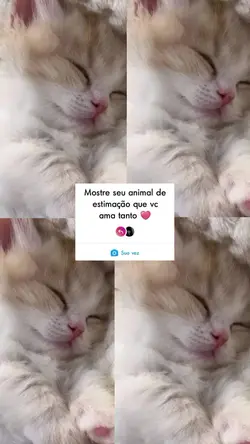 Mostre seu animalzin