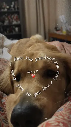 My favorite pet ❤️‍🩹