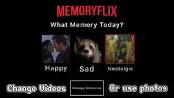 Netflix Interface📱
