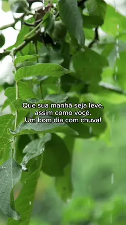 Para manhãs chuvisas